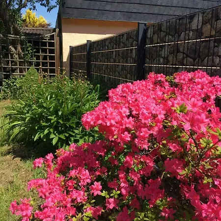 Appartamento Messe And Airport, 2-bedroom Duplex With Kitchen And Garden Düsseldorf